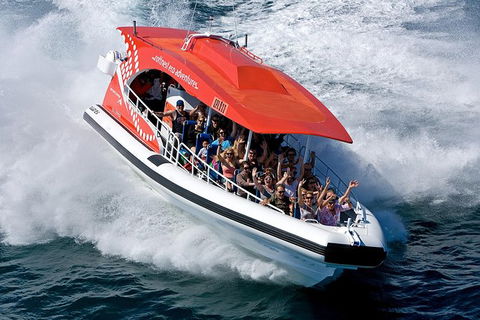 Rottnest Island Tour From Perth Or Fremantle Including Adventure Speed Boat Ride - Find Attractions 11