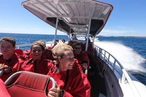 Rottnest Island Tour From Perth Or Fremantle Including Adventure Speed Boat Ride - Find Attractions 8