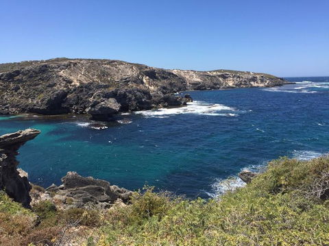 Rottnest Island Tour From Perth Or Fremantle Including Bus Tour - Find Attractions 3