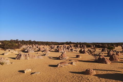 Pinnacles Day Trip From Perth Including Yanchep National Park - Find Attractions 6