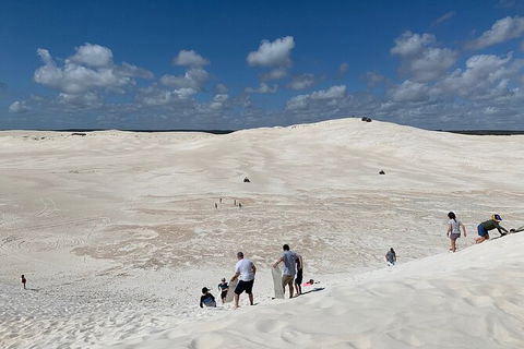Pinnacles Day Trip From Perth Including Yanchep National Park - Find Attractions 3