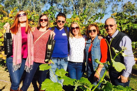 Swan Valley Tour From Perth: Wine, Beer And Chocolate Tastings - Find Attractions 0