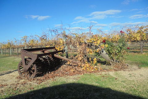 Swan Valley Tour From Perth: Wine, Beer And Chocolate Tastings - Find Attractions 7