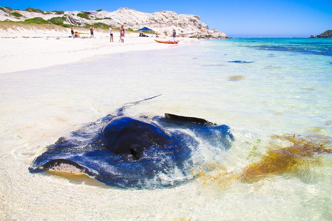 Margaret River WA Find Attractions