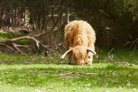 Private Custom Margaret River Tour - Find Attractions 21