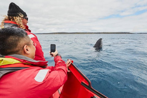 Private Custom Margaret River Tour - Find Attractions 16