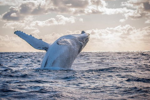 Private Custom Margaret River Tour - Find Attractions 18
