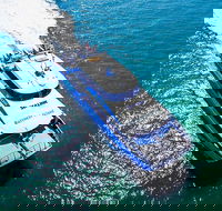 Rottnest Island Roundtrip Ferry from Perth with Transfer