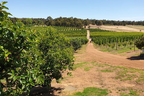 Half-Day Swan Valley Walk & Fruit Orchard - Find Attractions 7