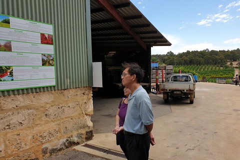 Half-Day Swan Valley Walk & Fruit Orchard - Find Attractions 4