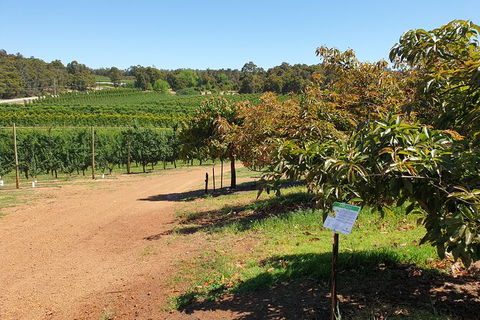 Half-Day Swan Valley Walk & Fruit Orchard - Find Attractions 8