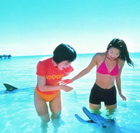 Monkey Mia Dolphins  Shark Bay Air Tour From Perth - Find Attractions