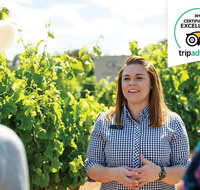 Swan Valley Wine Adventure - Half Day Premium Boutique Winery Tour - Find Attractions