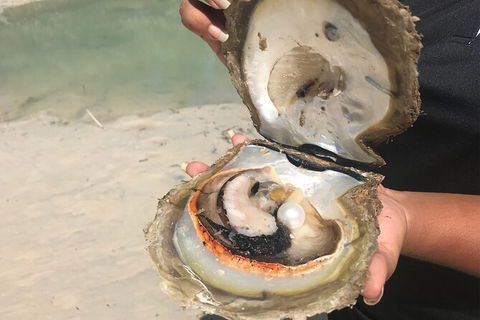Willie Creek Pearl Farm Tour From Broome - Find Attractions 6