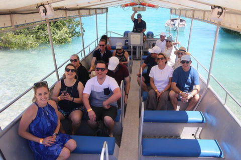 Willie Creek Pearl Farm Tour From Broome - Find Attractions 3