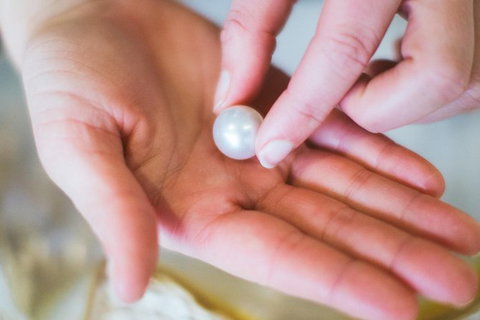 Harvest Your Own Pearl Private Experience - Perth - Find Attractions 5
