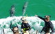 Swim With Dolphins Day Trip From Perth - thumb 8