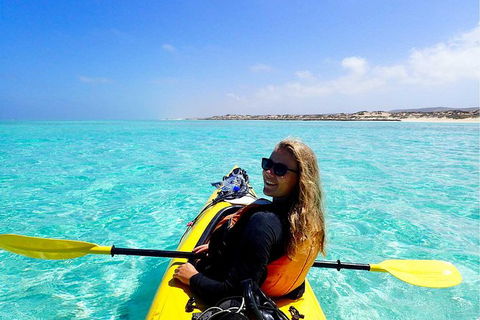 Lagoon Explorer - Ningaloo Reef Full-Day Kayaking And Snorkeling Adventure - Find Attractions 0