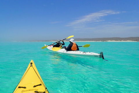 Lagoon Explorer - Ningaloo Reef Full-Day Kayaking And Snorkeling Adventure - Find Attractions 7