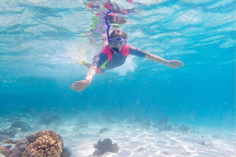Lagoon Explorer - Ningaloo Reef Full-Day Kayaking And Snorkeling Adventure - Find Attractions 5