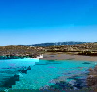 Rottnest Island Roundtrip Fast Ferry from Hillarys Boat Harbour