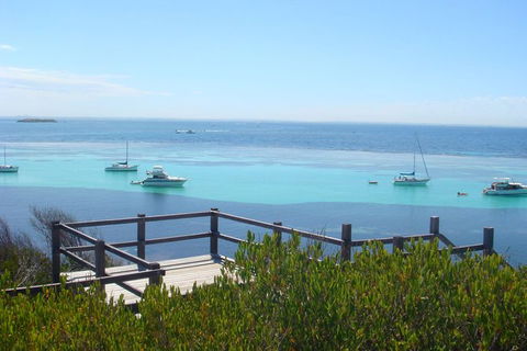 Rottnest Bayseeker Bus Tour From Hillarys Boat Harbour - Find Attractions 3