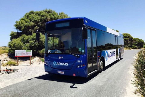 Rottnest Bayseeker Bus Tour From Hillarys Boat Harbour - Find Attractions 2