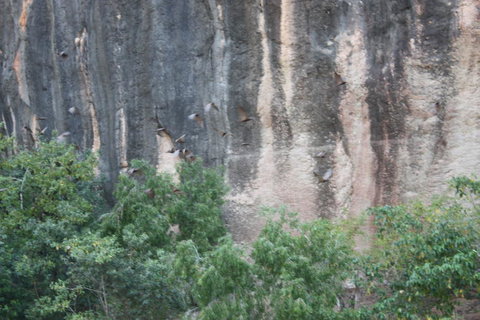Windjana Gorge And Tunnel Creek 4WD Tour From Broome - Find Attractions 2