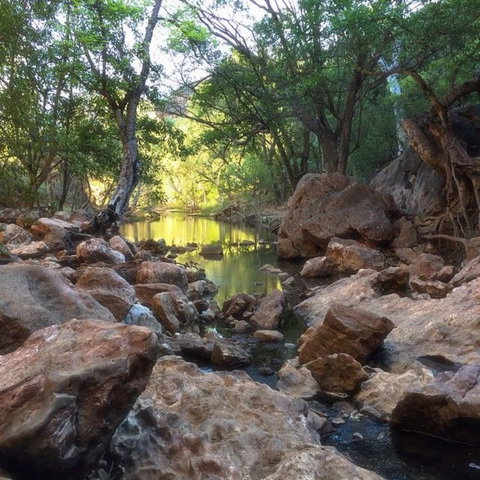 Windjana Gorge And Tunnel Creek 4WD Tour From Broome - Find Attractions 9
