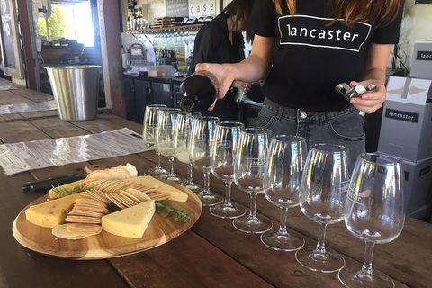 Half Day Swan Valley Wine Tour - Find Attractions 1