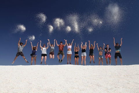 7-Day Exmouth Explorer Via Pinnacles Monkey Mia Ningaloo Reef Returning To Perth - Find Attractions 1