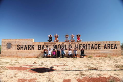 7-Day Exmouth Explorer Via Pinnacles Monkey Mia Ningaloo Reef Returning To Perth - Find Attractions 14