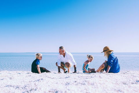 7-Day Exmouth Explorer Via Pinnacles Monkey Mia Ningaloo Reef Returning To Perth - Find Attractions 6