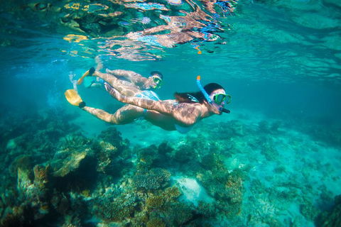 7-Day Exmouth Explorer Via Pinnacles Monkey Mia Ningaloo Reef Returning To Perth - Find Attractions 13