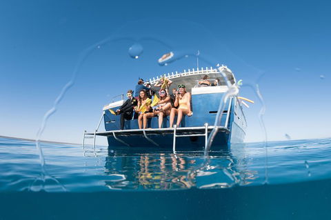 Swim With Whale Sharks - Ningaloo Reef - 3 Islands Whale Shark Dive - Find Attractions 11