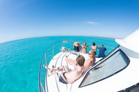 Swim With Whale Sharks - Ningaloo Reef - 3 Islands Whale Shark Dive - Find Attractions 22