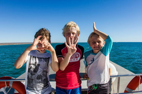 Swim With Whale Sharks - Ningaloo Reef - 3 Islands Whale Shark Dive - Find Attractions 15