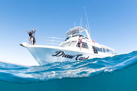 Swim With Whale Sharks - Ningaloo Reef - 3 Islands Whale Shark Dive - Find Attractions 12