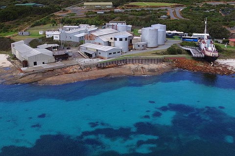 Albany\'s Whale Story - Find Attractions 6