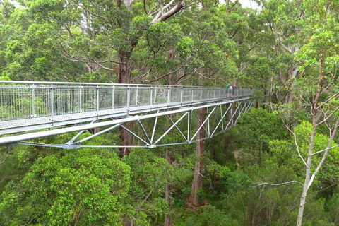 Albany Southwest Wilderness Day Tour - Fly From Perth - Find Attractions 2