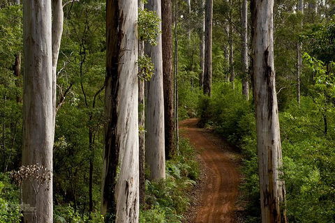 Albany Southwest Wilderness Day Tour - Fly From Perth - Find Attractions 6