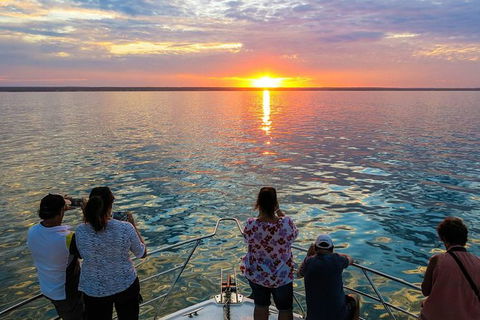 Humpback Whale Sunset Cruise - Find Attractions 1