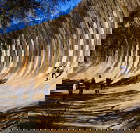 The Big Wave Rock Private Day Tour