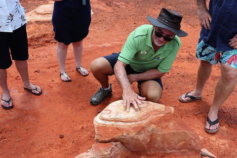 Broome Panoramic Town Tour - All The Extraordinary Sights And History Of Broome - Find Attractions 10