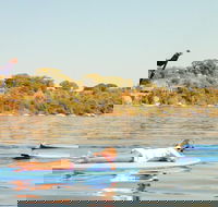 Stand-Up Paddleboarding Lesson plus Guided Paddle on Perth's Swan River