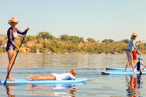 Stand-Up Paddleboarding Lesson Plus Guided Paddle On Perth's Swan River - Find Attractions 0