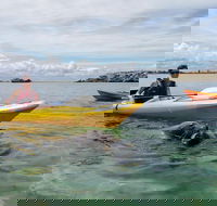 Seal Island and Penguin Island or Point Peron Sea Kayak Tour
