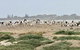 4WD Adventure And Scenic Tours From Perth Or Fremantle - thumb 4