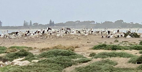 4WD Adventure And Scenic Tours From Perth Or Fremantle - Find Attractions 4