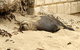 4WD Adventure And Scenic Tours From Perth Or Fremantle - thumb 3